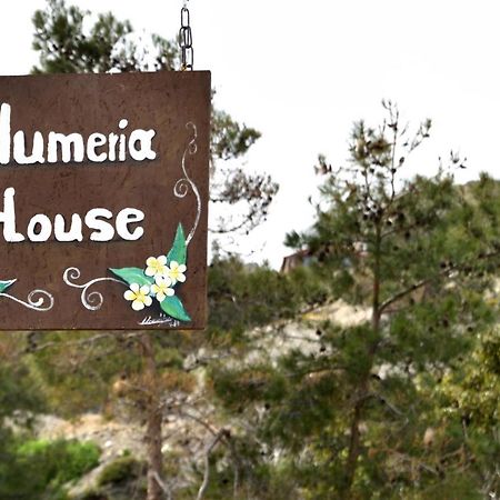 Plumeria House Archangelos  Exterior foto